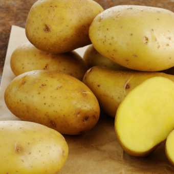 Насіннєва картопля Коломба – нідерландський сорт, стабільна врожайність, чудовий смак Насіннєва картопля Коломба – нідерландський сорт, стабільна врожайність, чудовий смак