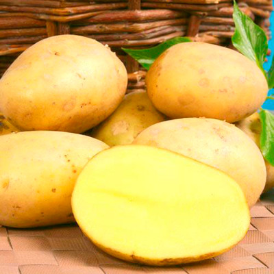 Лілі