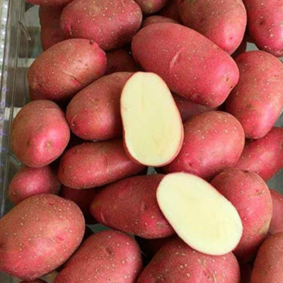 Рікарда