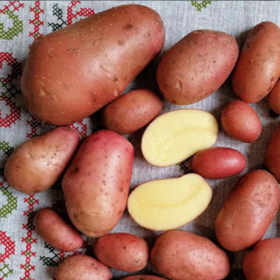 Санiбель