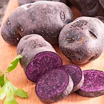 Насіннєва картопля Солоха – український столовий сорт, висока врожайність, чудовий смак ???? Meta Насіннєва картопля Солоха – український столовий сорт, висока врожайність, чудовий смак ???? Meta